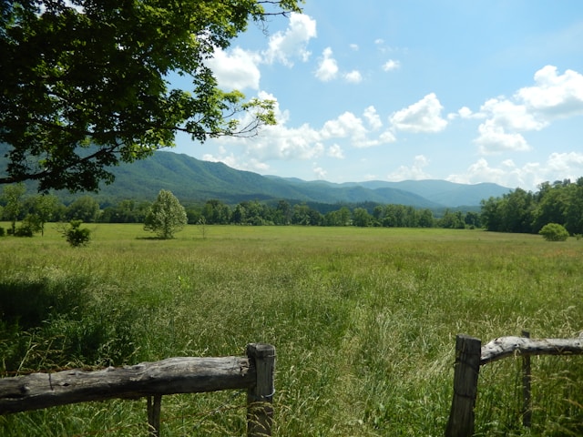 field and clouds