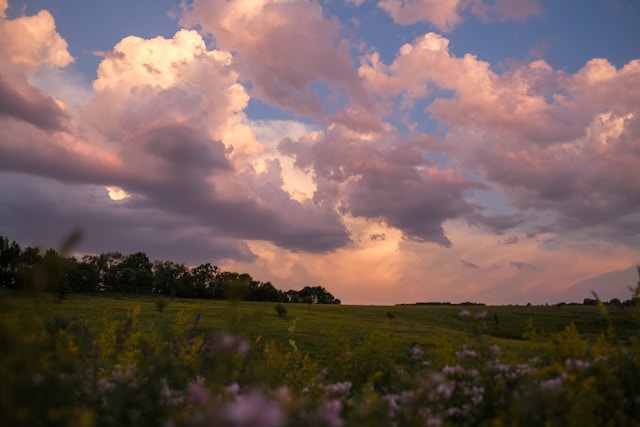 field and clouds