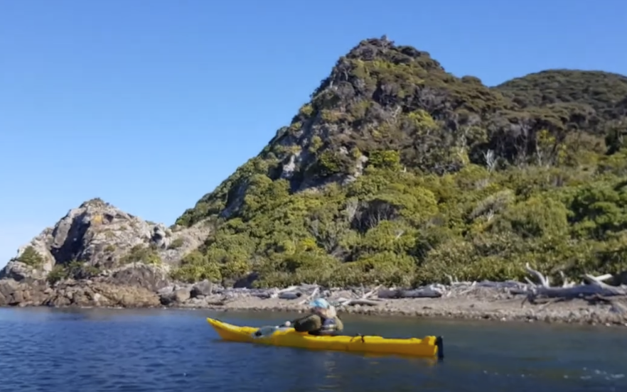 Kapiti Island Eco Kayaking