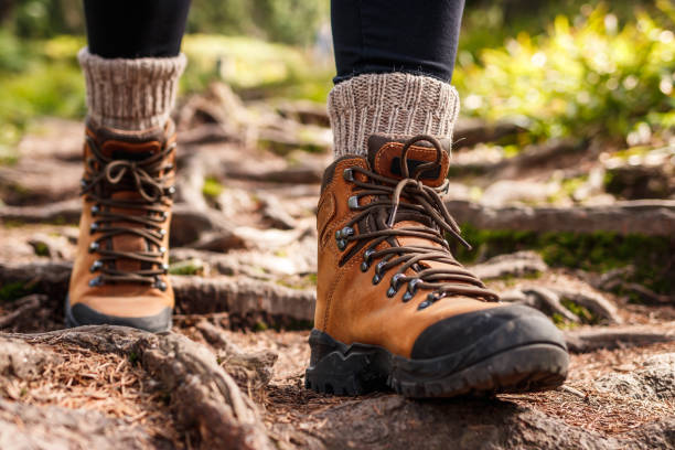 Hiking shoes