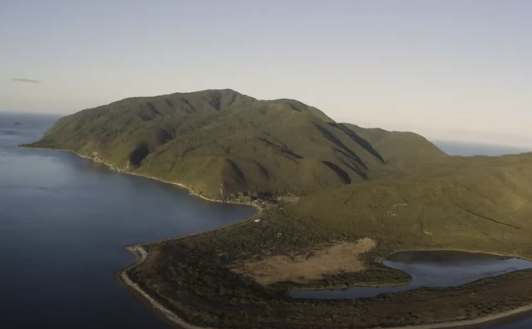 Kapiti Island Tours: Nature's Sanctuary